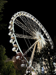 Brightly illuminated Ferris wheel at night, photographed from a low angle with trees in the foreground and a clear black sky. A vibrant urban scene capturing amusement park atmosphere, nightlife
