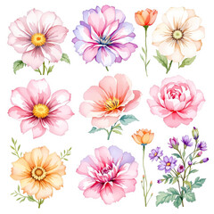 Flowers and butterflies, Set of spring flowers	