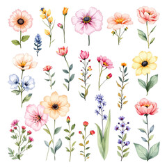 floral background with flowers