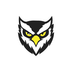 owl on white background