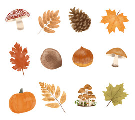 Autumn fall foliage watercolour