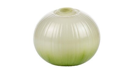 Isolated White Onion