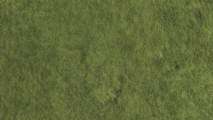 Front view of a textured cement wall covered with moss, abstract design and art elements