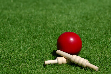 Cricket Ball and Bails Arranged on Green Grass for Outdoor Sports Theme and Game Preparation
