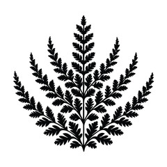 Elegant black symmetrical fern branch silhouette isolated on white