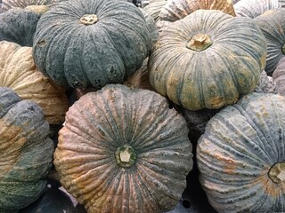 pumpkins pump 