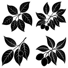 Illustration of four black branches with leaves and berries on a white background in a vector format