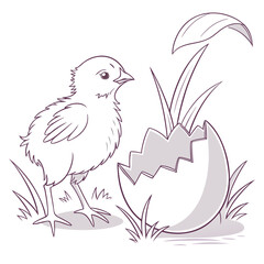 A chick standing next to a cracked egg with grass, isolated on white background