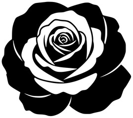 Rose with lavender and jasmine thorns petals garden flower bloom scent beauty elegance nature love fragrance tender romantic flowers blossoming slowly outdoors freely always