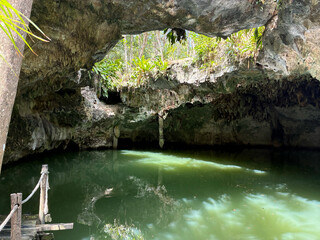 Scenic view from inside Jade Cavern Cenote, showcasing murky green water and dramatic cave walls,...