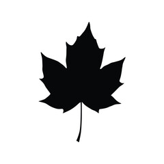 Maple leaf silhouette icon vector. Canadian nature, autumn, fall season, forest, and plant symbol graphic.