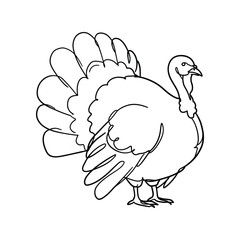 Outlined turkey bird graphic, simple line art, poultry and farm animal illustration