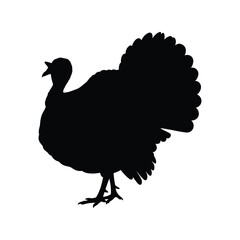 Thanksgiving turkey silhouette, poultry bird, farm animal, and holiday symbol