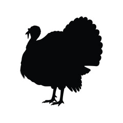 Thanksgiving turkey silhouette, poultry bird, farm animal, and holiday symbol