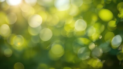 Obraz premium Soft green bokeh over a natural backdrop