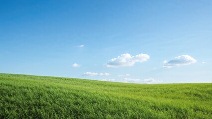 Expansive grassy incline under a bright, cloud-streaked sky