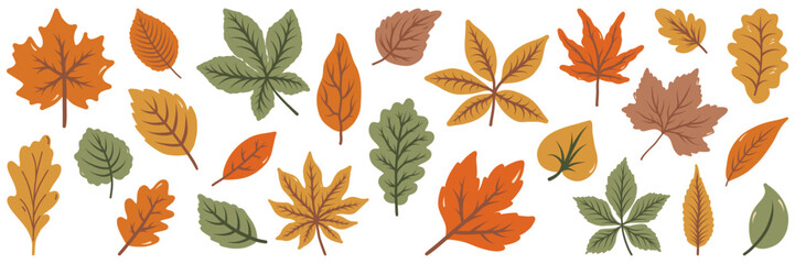 Set of autumn leaves and branches from different trees: maple, oak, aspen, chestnut. Simple flat falling yellow, green, brown, orange autumn leaves. Vector illustration on white background.