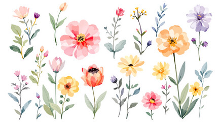 spring flowers background