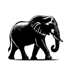 Elephant Head Vector – Bold Wildlife Animal Face Illustration Design