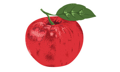 Fresh apple set. Organic food artwork for for t-shirt. Fruit vintage t-shirt design. Sweet and juicy apple fruit artwork.
