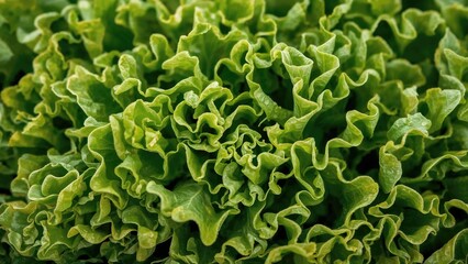 Vibrant green vegetable background emphasizing natural textures