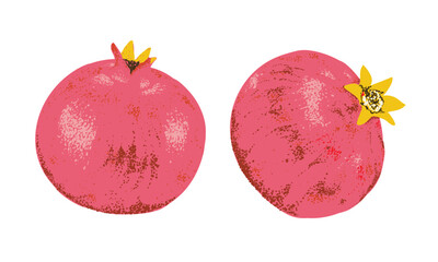 Naklejka na ściany i meble Summer food poster design. Pomegranate fruit artwork. Fresh pomegranate fruit print.