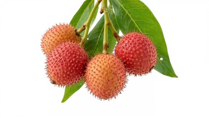 Fresh lychee fruits with leaves displayed against a white background