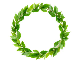 Leaf Circle Wreath Isolated on White Background