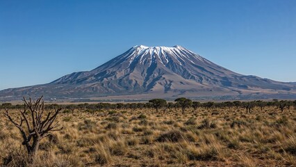 The Tallest Mountain Peak The