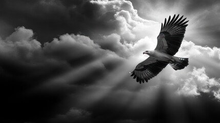Majestic Eagle Soaring Through Dramatic Cloudy Skies, Black and White