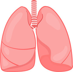 Lung