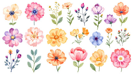 Big set of watercolor flowers bouquets with golden elements. Illustration isolated on white background. Collection garden and wild, forest herb, flowers, branches. 