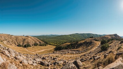 Scenic summer landscape with trees and hills