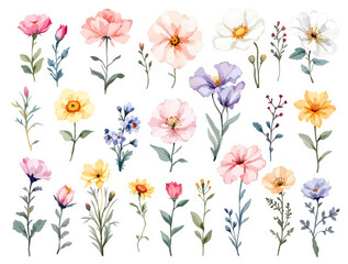 set of flowers