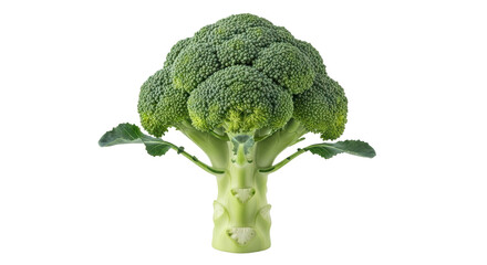 Isolated Broccoli