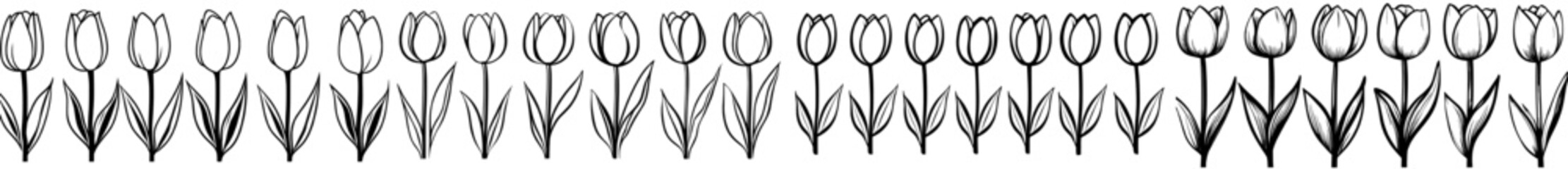 A single line tulip set, featuring hand-drawn contour drawings of spring flowers in a modern style