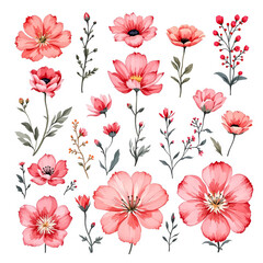 Collection of flowers, Set of watercolor flowers, Clipart watercolor flowers