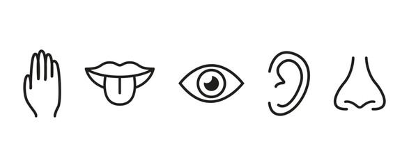 Five human senses line icon set collection