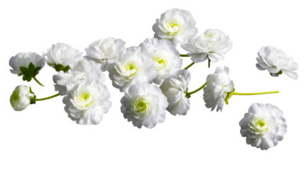 White flowers arranged naturally with soft green accents