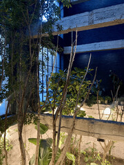 Urban concrete structure with indoor trees and evening lights in a modern architectural space