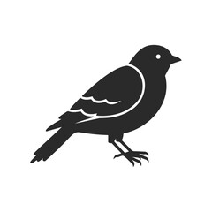 Fototapeta premium Silhouette of a sparrow bird on a white background