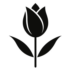 black and white tulip