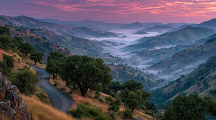 Fototapeta premium Morning mist rolls through rolling hills at dawn in a serene valley, showcasing nature's beauty and tranquility