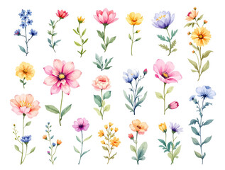Obraz premium bouquet of flowers, Set Flower art