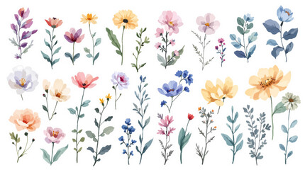 bouquet of flowers, Set Flower art