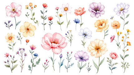 Seamless pattern with flowers, Spring flowers background, Flower clipart, set of tulips