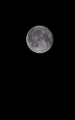 The moon is full in the evening sky.