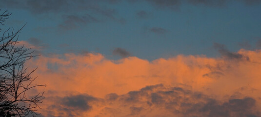 Red clouds behind the tree branches
