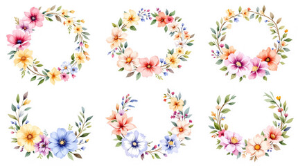 set of colorful flowers