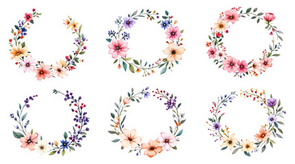 Set watercolor flowers and butterflies